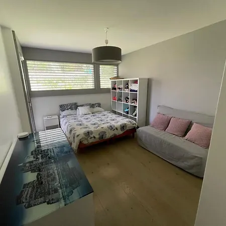 Villa Luxueuse Annecy Argonay
