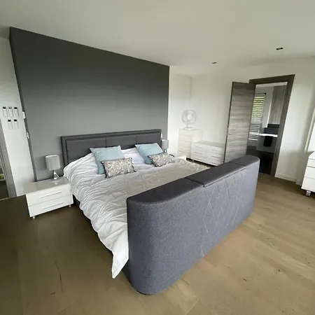 Villa Luxueuse Annecy Argonay